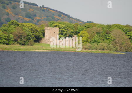 Loch Leven Castle Loch Leven Fife Scozia centrale Maggio 2016 Foto Stock