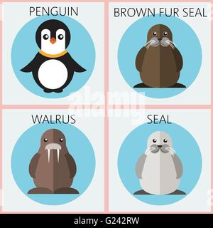 Illustrazione astratta con colorati animali del mare nel set di cornici tonde, un pinguino, trichechi, marrone fur tricheco e la guarnizione su un bianco b Illustrazione Vettoriale
