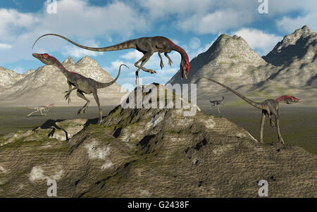 Campsognathus Carniverous bipedi dinosauri. Foto Stock