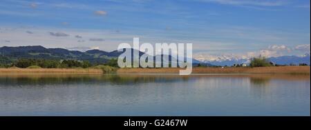 La molla di scena nel Cantone di Zurigo. Il lago di Pfaeffikon, il verde delle colline e la vista in lontananza delle montagne innevate. Foto Stock