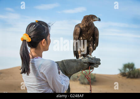 Una donna in un deserto tenendo un maggiore spotted eagle sul suo braccio Foto Stock