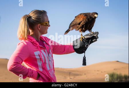 Harriet hawk è seduta su un lato di una donna Foto Stock