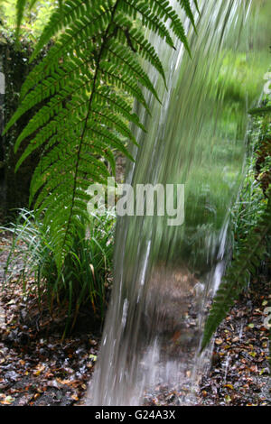 Flussi di acqua in Kennal vale la riserva naturale Foto Stock