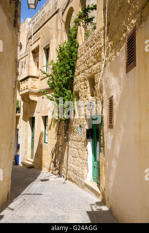 Una strada stretta di case tradizionali in Victoria, la capitale di Gozo, Malta Foto Stock