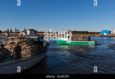 Aragosta alaggio barche sui trap su 'Setting giorno' nelle zone rurali di Prince Edward Island. Foto Stock