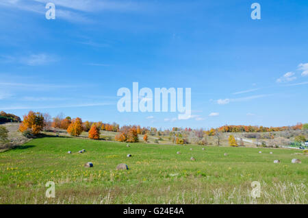 Campo di grano mietuto in una giornata autunnale Foto Stock