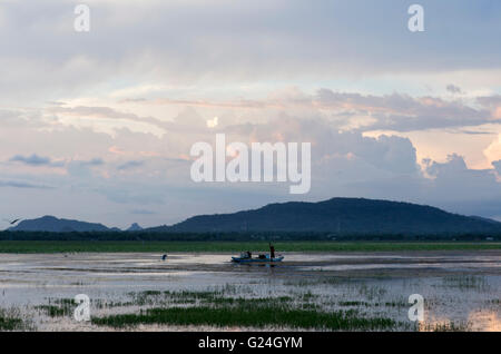 Lungo la costa orientale del lago di Yoda , della Provincia Meridionale , Sri Lanka . Tramonto Foto Stock