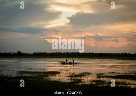 Lungo la costa orientale del lago di Yoda , della Provincia Meridionale , Sri Lanka . Tramonto Foto Stock