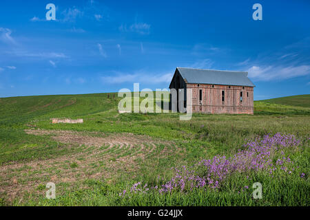 Il vecchio fienile nel campo verde. Foto Stock