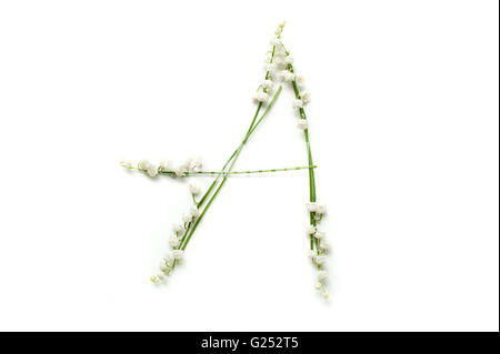 Alfabeto inglese da fiore lettere. creative decorativo una lettera Foto Stock