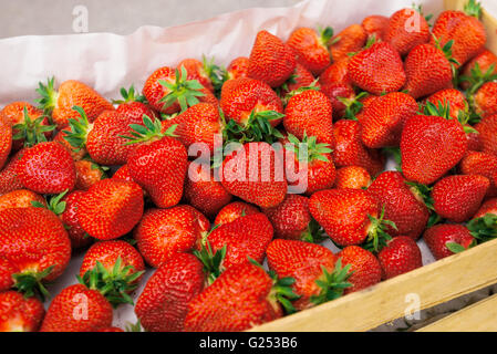 Fresche fragole organico in cassa sul mercato degli agricoltori, homegrown producono frutta, il fuoco selettivo Foto Stock