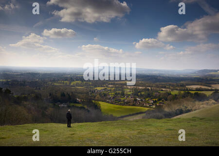 Vista panoramica su Reigate da Colley Hill. Foto Stock