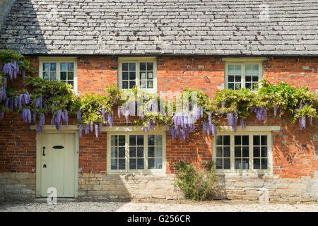 Il Glicine sul Bledington Mill House. Bledington, Cotswolds, Gloucestershire, Inghilterra Foto Stock