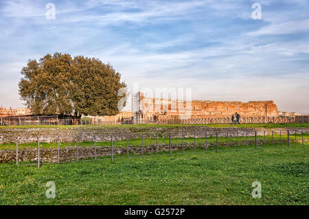 Le antiche rovine del Colosseo romano anfiteatro situato in Italien capitale di Roma. Foto Stock