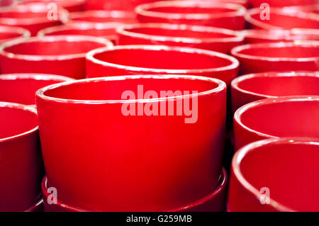 Righe di fiore rosso vasi di ceramica sui ripiani Foto Stock