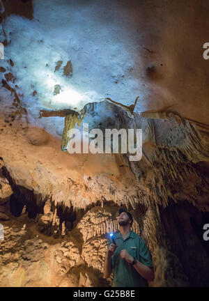 Florida Caverns State Park in Marianna, Florida offre escursioni Grotta attraverso fantastiche formazioni geologiche di calcare. Foto Stock