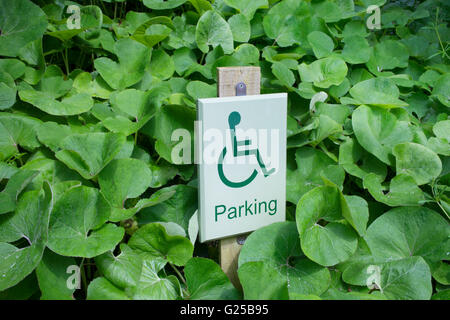 Parcheggio Disabili segno Foto Stock