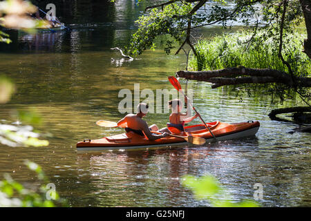 Krutynia rafting sul fiume, la Masuria regione, Polonia, Europa Foto Stock