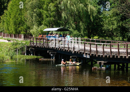 Krutynia rafting sul fiume, la Masuria regione, Polonia, Europa Foto Stock