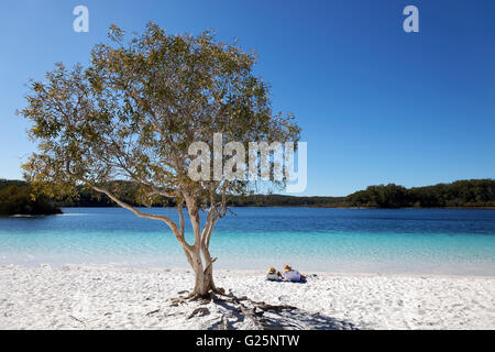 Giovane sdraiato sulla spiaggia sabbiosa accanto a niaouli, di latifoglie (paperbark Melaleuca quinquenervia), il Lago McKenzie Foto Stock
