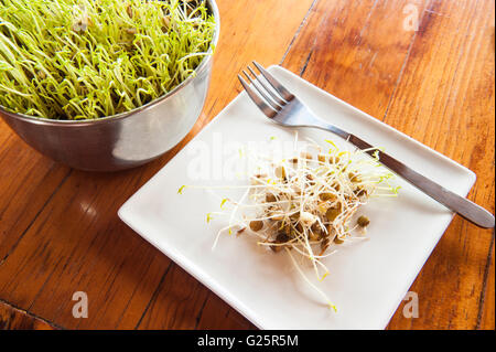 I germogli di lenticchie in crescita in una ciotola accanto a una piastra accatastati con i germogli Foto Stock