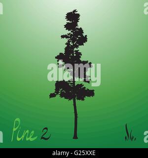 Pacific Northwest pino crescita vecchio albero sempreverde silhouette Illustrazione Vettoriale