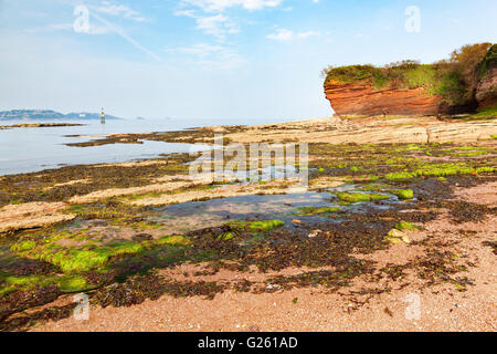 La spiaggia di fata Cove Paignton Torbay Devon England Regno Unito Europa Foto Stock