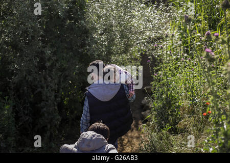 Vicino Idomeni, Grecia. Xxiv Maggio, 2016. Rifugiati e migranti lasciando Idomeni camp in Grecia, 25 maggio 2016. Credito: dpa picture alliance/Alamy Live News Foto Stock