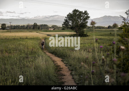 Vicino Idomeni, Grecia. Xxiv Maggio, 2016. Rifugiati e migranti lasciando Idomeni camp in Grecia, 25 maggio 2016. Credito: dpa picture alliance/Alamy Live News Foto Stock