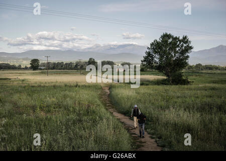 Vicino Idomeni, Grecia. Xxiv Maggio, 2016. Rifugiati e migranti lasciando Idomeni camp in Grecia, 25 maggio 2016. Credito: dpa picture alliance/Alamy Live News Foto Stock