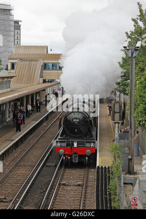 Feltham, Hounslow, London, Regno Unito. Il 25 maggio 2016. Il Flying Scotsman ondeggianti del vapore che passa attraverso la stazione di Feltham, Londra, Regno Unito. Questo era sulla gamba verso l'esterno di un viaggio da Londra Victoria sud a Guildford, attraverso le colline del Surrey e ritornare a Londra via Croydon. Credito: Julia Gavin UK/Alamy Live News Foto Stock