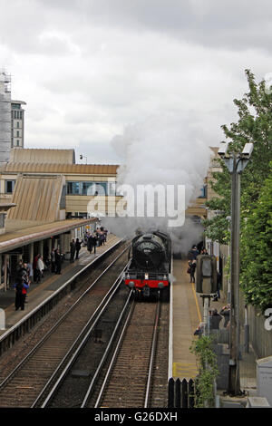 Feltham, Hounslow, London, Regno Unito. Il 25 maggio 2016. Il Flying Scotsman ondeggianti del vapore che passa attraverso la stazione di Feltham, Londra, Regno Unito. Questo era sulla gamba verso l'esterno di un viaggio da Londra Victoria sud a Guildford, attraverso le colline del Surrey e ritornare a Londra via Croydon. Credito: Julia Gavin UK/Alamy Live News Foto Stock