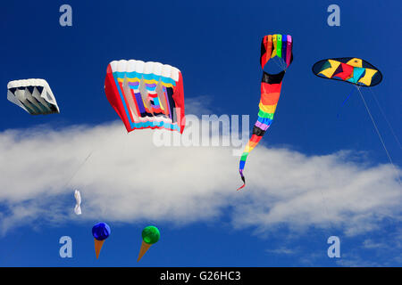 Selezione di aquiloni nel cielo a Victoria il Kite Festival a trifoglio Point-Victoria, British Columbia, Canada. Foto Stock