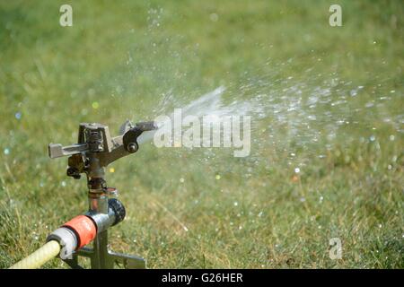 Schizzi di sprinkler con acqua sul prato in giardino Foto Stock