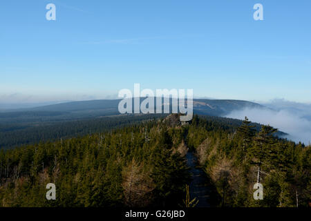Foresta e nuvole basse in Izerskie montagne vicine Szklarska Poreba in Polonia. Foto Stock