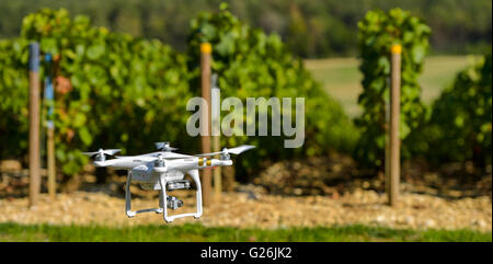 Utilità di Flying drone su vigneti champagne Francia Foto Stock