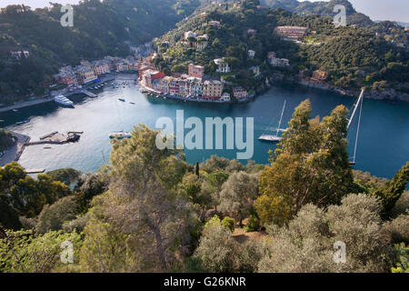 Vista aerea della baia di Portofino, Liguria, Italia. Alberi in primo piano Foto Stock