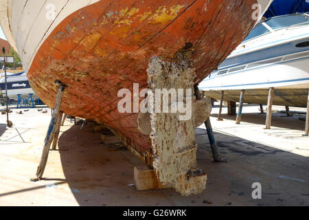 Helm, timone della vecchia barca di legno nel bacino di carenaggio, Boat Yard, coperto con cozze invasive, le cozze, Spagna. Foto Stock