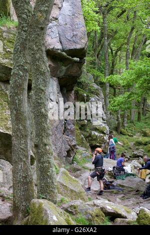 Gli alpinisti si preparano a salire la Dewerstone, nei pressi di Ponte Shaugh, Dewerstone legno, Dartmoor Devon, West Country, England, Regno Unito Foto Stock