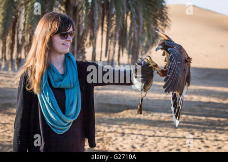 Harriet hawk è lo sbarco su un lato di una donna Foto Stock