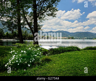 DE - Baviera: Rottach-Egern sul lago Tegernsee visto da Courths-Mahler-Park Foto Stock