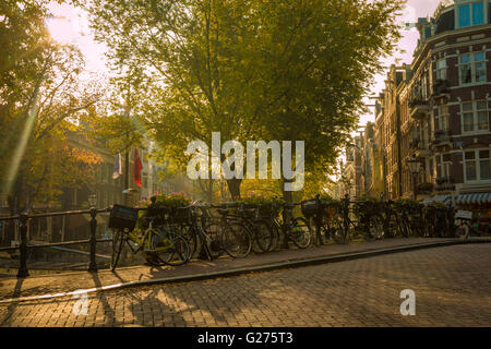 Biciclette in Amsterdam Foto Stock