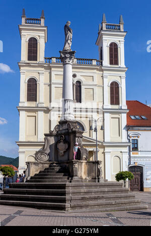 Colonna mariana piazza principale di Banska Bystrica, Slovacchia, Europa Foto Stock