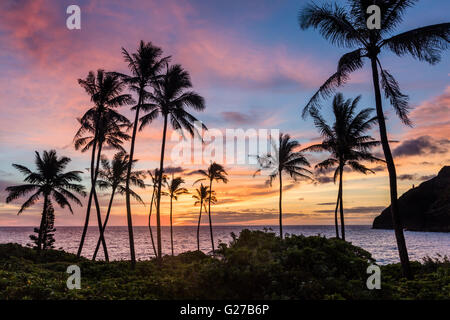 Un colorato tramonto tropicale a Makapu'u beach park su Oahu. Foto Stock