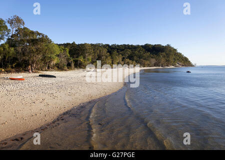Spiaggia di sabbia, UNESCO Patrimonio Mondiale dell'Isola Fraser, Great Sandy National Park, Queensland, Australia Foto Stock