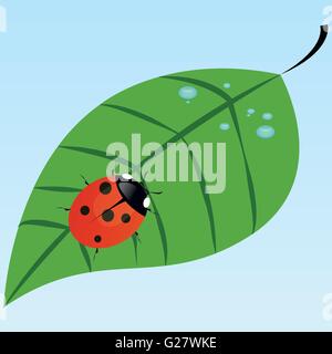 Ladybug seduto su una foglia di rugiada Illustrazione Vettoriale