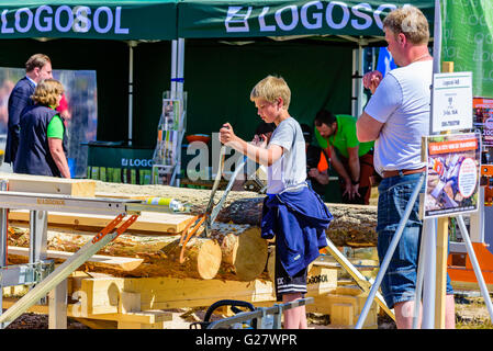 Emmaboda, Svezia - 13 Maggio 2016: la foresta e il trattore (Skog och traktor) fiera. Ragazzo cerca di afferrare un tronco di legno con un grippi Foto Stock