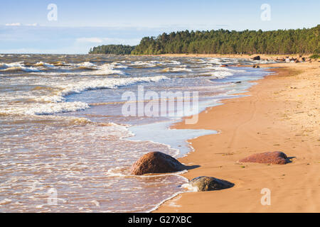 Mar baltico il paesaggio costiero con acqua shore e bagnato pietre posa sulla costa sabbiosa Foto Stock