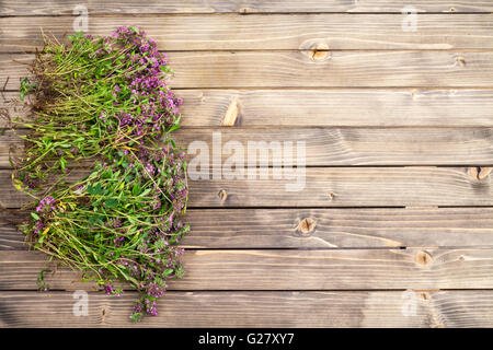 Molla di sfondo di confine con i fiori Foto Stock