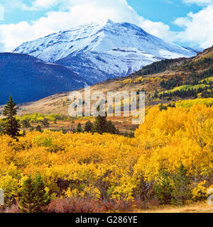 I colori dell'autunno al di sotto di Mount Richmond lungo il Rocky Mountain Front vicino dupuyer, montana Foto Stock